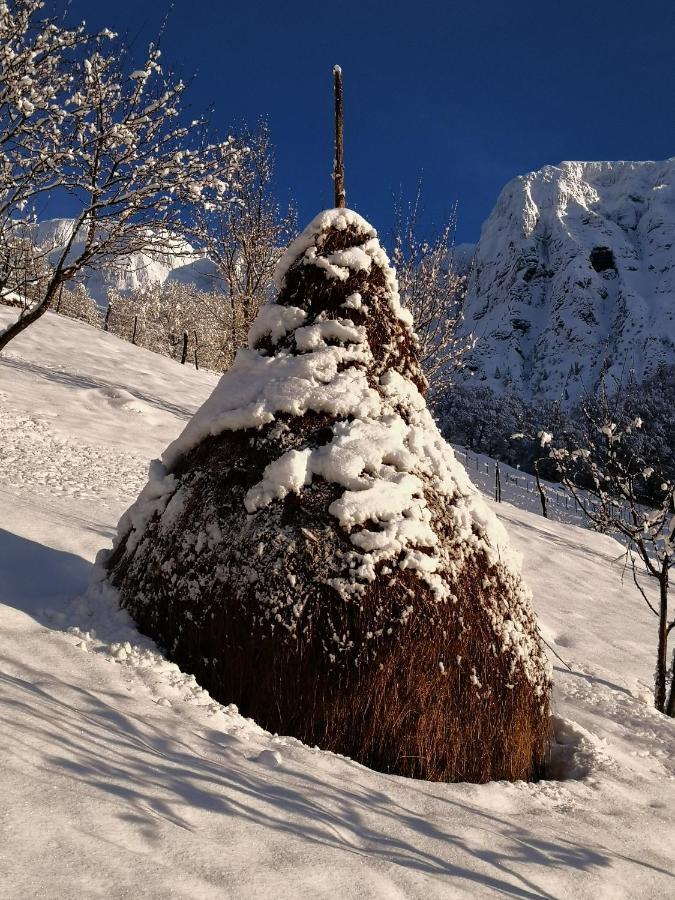 Mountain Emilia Apartment *