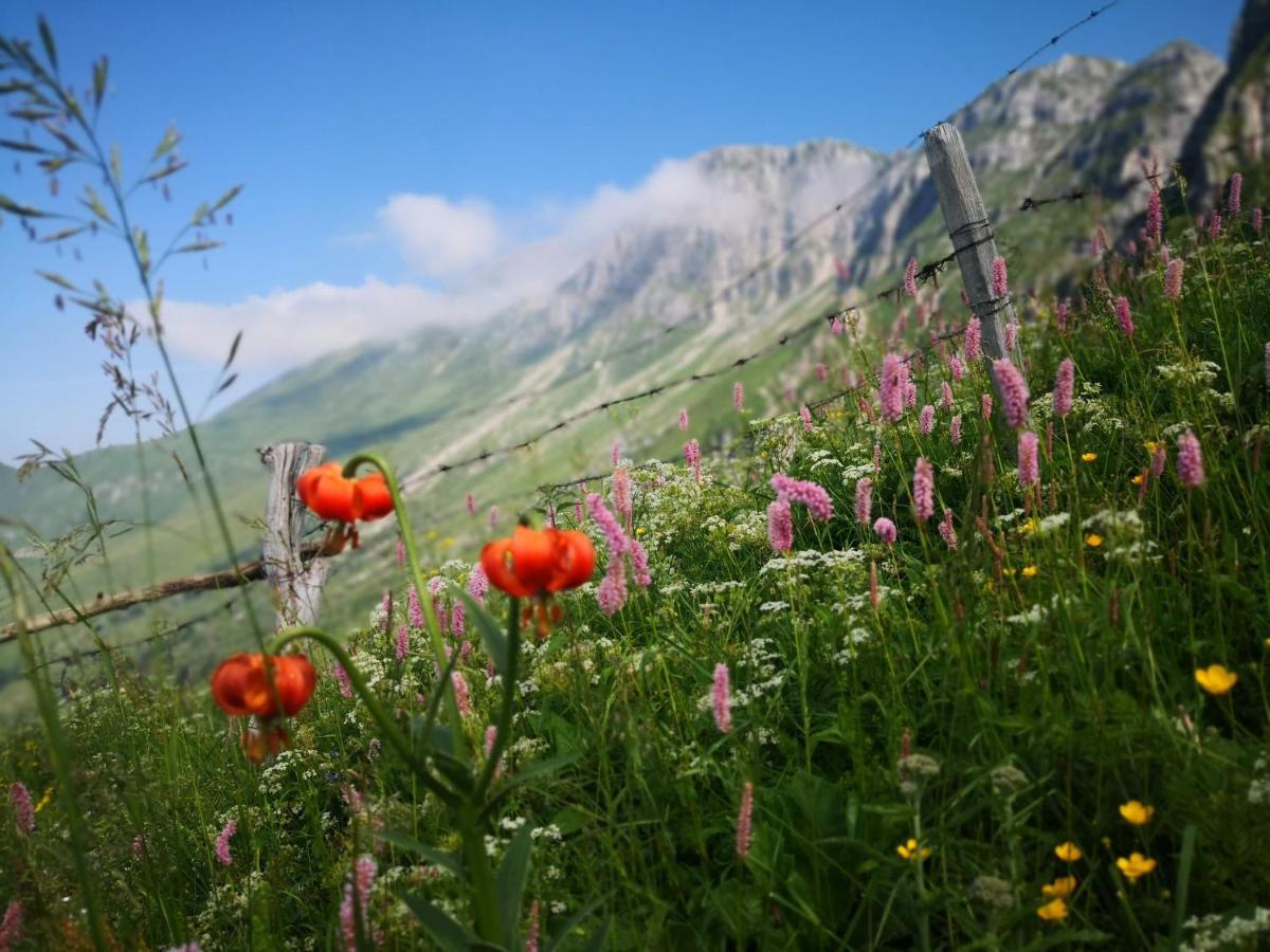 Mountain Emilia Appartement *