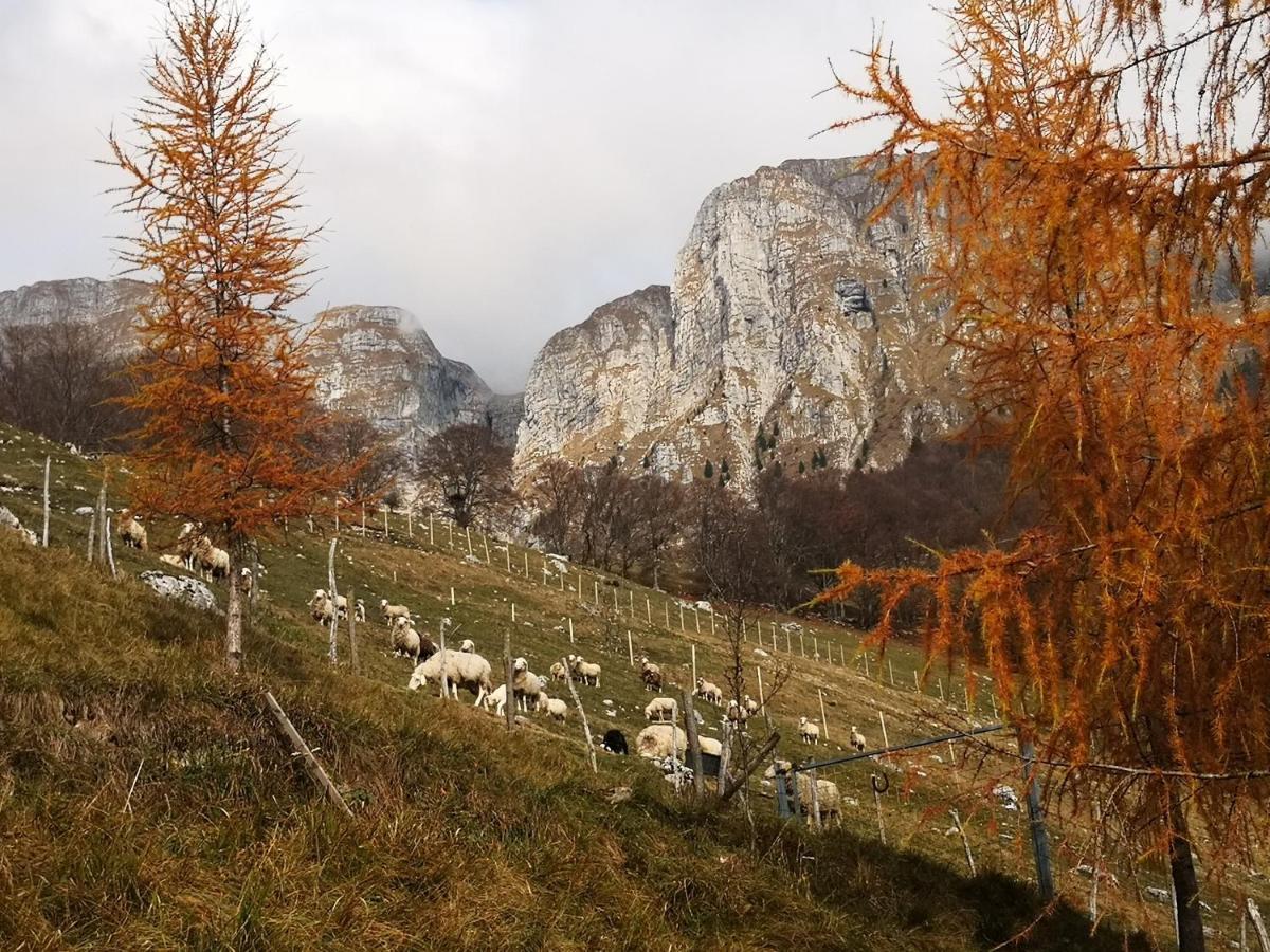 Mountain Emilia