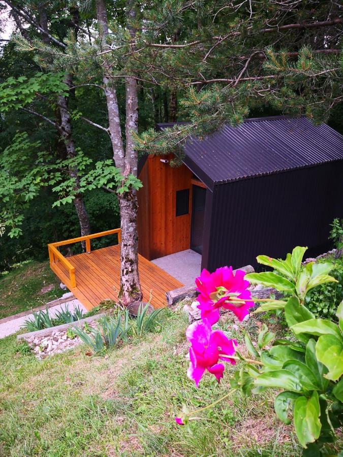 Appartement Mountain Emilia *