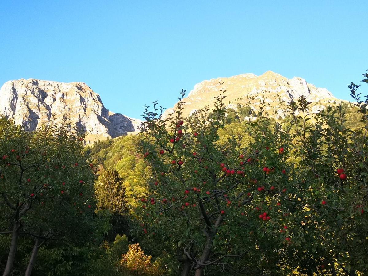 Appartement Mountain Emilia *