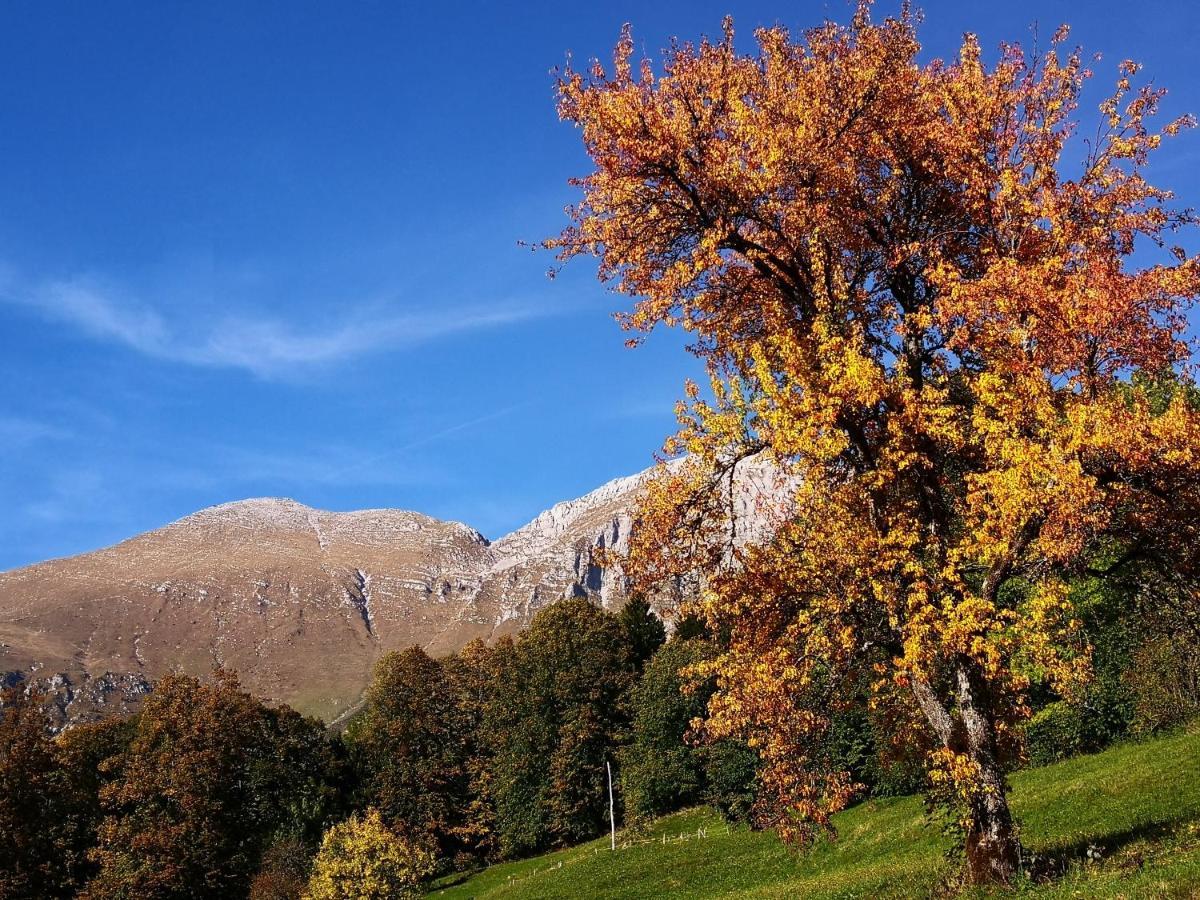 Mountain Emilia