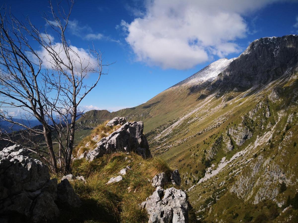 Apartment Mountain Emilia *