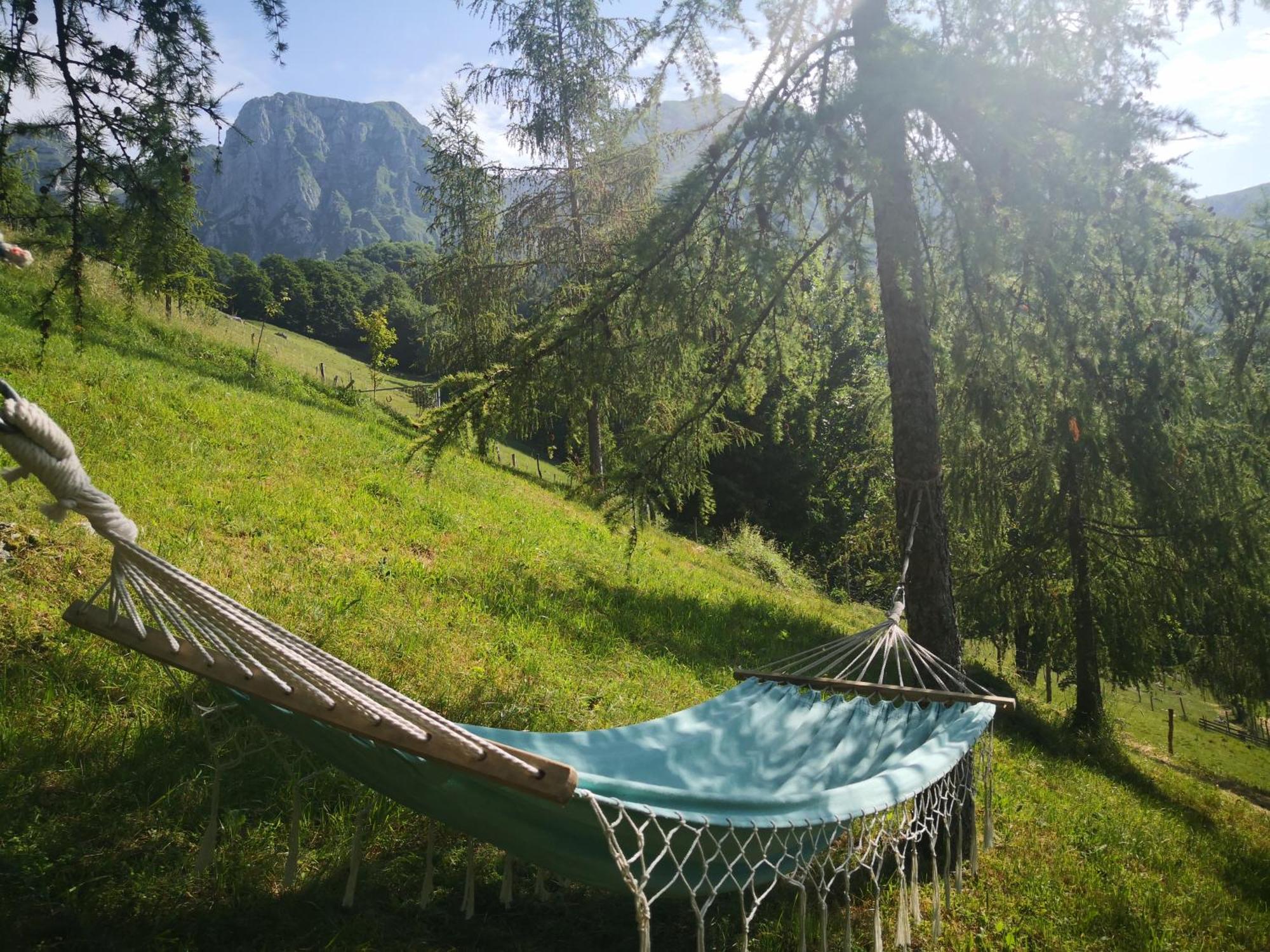 Apartment Mountain Emilia *